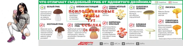 ГАЛЛЮЦИНОГЕННЫЕ ГРИБЫ Алексин