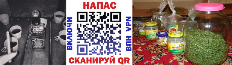 продажа наркотиков  МЕГА зеркало  Конопля сатива  Котлас 